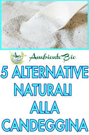 5 Alternative Alla Candeggina Come Sostituire Questa Sostanza Tossica Con Prodotti Naturali Detersivo Per Bucato Fatto In Casa Detergente Fatto In Casa Detersivo Fatto In Casa