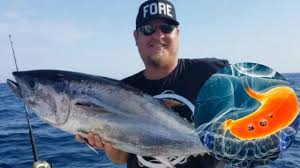 Onlyfans lauren burch credentialing was very easy with copy