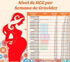Nivel De Hcg Por Semana De Gravidez Almanaque Dos Pais