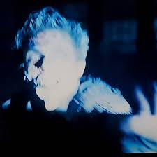 Profile for Dane Quillin