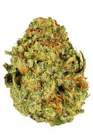 It is nothing extraordinary that requires a visit. Lemon Gorilla Strain Hybrid Cannabis Video Cbd Thc Terps Hytiva