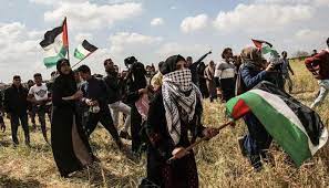 Artistas palestinos y artistas israelíes han lanzado llamamientos al cantante. Palestina E Israel Una Encrucijada Geopolitica Clacso