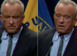 Even Sir Rod Stewart has had enough of the Tories