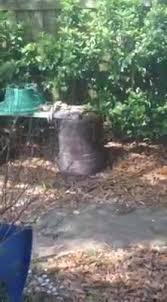Through the years, other members of the couch family joined in and expanded it into the pest control and termite extermination company it is today. Couch S Pest Patrol Inc Servicio De Control De Plagas Safety Harbor 550 Fotos Facebook