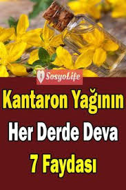 Kantaron Yaginin Her Derde Deva 7 Faydasi Kantaron Yag Faydalari Bitkisel Yaglar Dogal Dis Beyazlatma Bitkisel Tarifler Herboloji