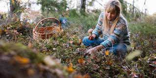 Wie zweden zegt, zegt vooral natuur. Op Vakantie Naar Zweden Nordic De Scandinaviespecialist