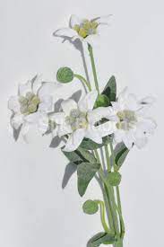 Artificial Edelweiss Loose Floral Stem In White Colour Silk Edelweiss Single Stem Flower 32cm