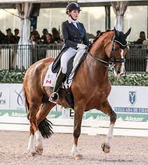 From foals to grand prix. Canada S All Female Dressage Team Named For Tryon World Equestrian Games Dressage News