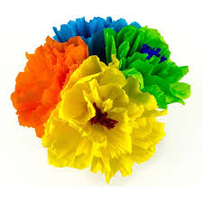 Or, perhaps you just want to print out some paper copies of a digital document, such as a word document or pdf, for a project, or for organizational out of courtesy, bring your own paper if you plan to make a lot of copies. Mexican Paper Flowers Fiesta Party Supplies
