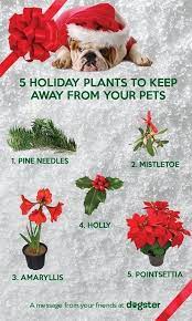 Free Agile Tools Online Kanban Board Remote Work Resources Pmp Certification Training Project Management Utilities Tech Humor Tipsographic Cat Proof Christmas Tree Toxic Plants For Cats Christmas Plants