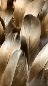Apply feather black gold feather theme, and enjoy thousands of free themes and wallpapers! Golden Feathers My Art Phonewallpaper Phonewallpaper4k Phonewallpaperfall Feather Wallpaper Aesthetic Colors Gold Aesthetic
