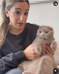 Kai Weverse update is cute