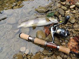 Enfin, les truites aiment avaler les mouches et les moustiques qui se posent à la surface de l'eau, vous pouvez donc certainement utiliser la mouche sèche ou la nymphe pour pêcher le fario. Nylon Tresse Bas De Ligne Truite Et Ombre Com