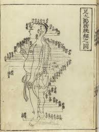 What Is The Meridian System In Chinese Medicine And Taoism Chinese Medicine Traditional Chinese Medicine Acupuncture