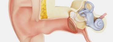 Image result for Inner Ear Decompression Sickness