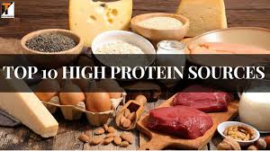 10 High Protein Sources You Need in Your Protein-Rich Diet