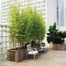 Pin On Outdoor Ideas