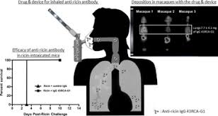 Image result for Pulmonary Intoxicant