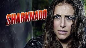 Ryan Stroud's Instagram, Twitter & Facebook