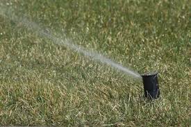 When your lawn starts looking dark or when it starts curling, that is actually the best time for you to start watering your lawn. The Brazos River Authority About Us News News Room Resource Library Be Smart When Watering Your Lawn Landscape Garden