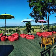 Image result for jati harum bali