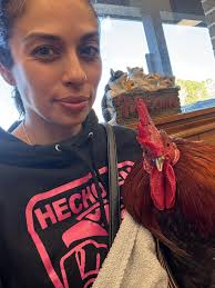 What is the best treatment for a rooster with a respiratory infection?