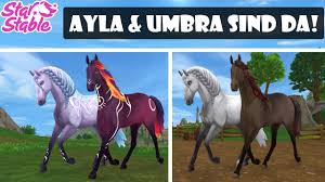 (freizeit, spiele und gaming, star. Ayla Und Umbra Sind Zuruck Star Stable Online Sso Update Youtube