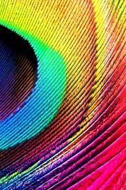 Download Free Peacock Feather Iphone Wallpaper Hd Mobile Wallpaper Contributed By Krnm Peacock Feather Iphone Wallpape Peacock Feather Peacock Colors Abstract