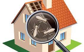Form titled wood destroying pest inspection and allocation of cost addendum (wpa) was removed from the c.a.r the buyer has the right to conduct an inspection for wood destroying pests under paragraph 12 of the rpa and choose a provider to conduct the inspection and prepare. How Much Does A Termite Inspection Cost Northwest Exterminating