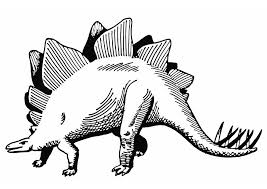 Dinosaur simulator wiki staff is will work hard to fully update the wiki as well, but due to the vast amount of changes it will take some time. Malvorlage Stegosaurus Kostenlose Ausmalbilder Zum Ausdrucken Bild 13284