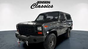 Image result for Dark Chamois 1981 Bronco