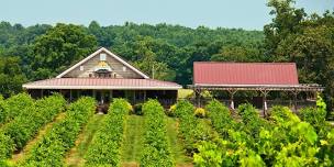 Woodmill Winery Grape Stomp Festival