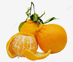 We did not find results for: Orange Tangerine Orange Tangerine Ugli Fruit Png Transparent Image And Clipart For Free Download