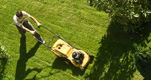 Landscaping & lawn services sod & sodding service lawn maintenance. Lawn Mowing And Trimming Handy