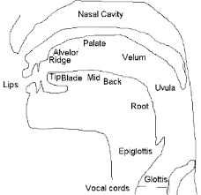 Resize your browser to full screen and/or zoom out to display as many columns as possible. International Phonetic Alphabet My Fair Lady Dramaturgy