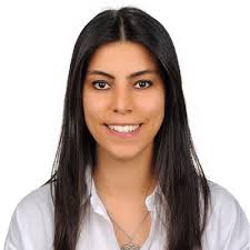 Erdem Erten LinkedIn'de: I will be at the Technische Hochschule  Mittelhessen's Department of…