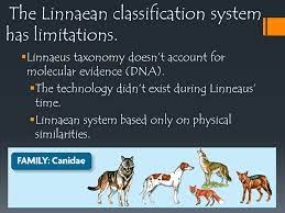 The Classification Of Species Ppt Download