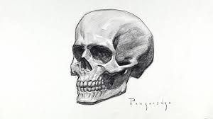 Artstation Human Skull Stan Prokopenko Skulls Drawing Skull Sketch Skull Drawing