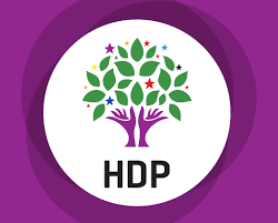 Constitutional court of the republic of korea. Hdp Appeal Of The Chief Public Prosecutor To The Constitutional Court Hdp Europe