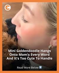 Gemma the goldendoodle snuggled her mom, Chloe, while Chloe shared all  about the new baby