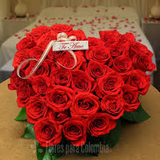 Entrá y conocé nuestras increíbles ofertas y promociones. Las Flores De Cumpleanos Mas Representativas Son Las Rosas Por Su Belleza