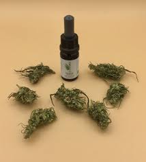Außerdem wird cbd oft gegen schmerzen, angstzustände und übelkeit verwendet. Cbd Ol 18 10 Ml Hanf Schnitt Nord Gmbh