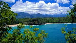 You will definitely choose from a huge number of pictures that option that will suit you exactly! 118 Hawaii Hd Wallpaper 1920 1080