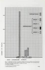 Image result for Tridactyle scottellii