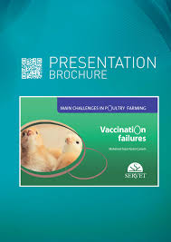 Vaccination and medication program for chicken. Vaccination Failures Main Challenges In Poultry Farming By Grupo Asis Issuu