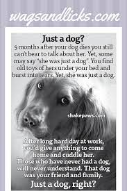 Pets In Heaven Wags And Licks Dog Grief Pet Grief Dog Loss Quotes