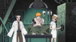 The Memoirs of a Bleach Zealot: Affinity #2 - The Kurosaki Trio  (Ichikaryusaki)