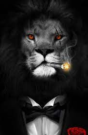 The great collection of cool lion wallpapers for desktop, laptop and mobiles. Evil Lions Wallpapers Top Free Evil Lions Backgrounds Wallpaperaccess