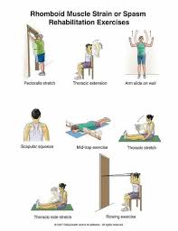 Pin On Workout Routines
