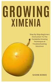 Image result for Ximenia